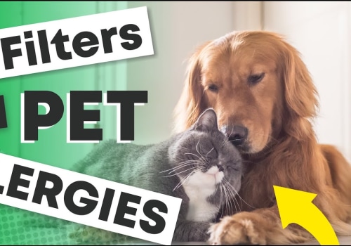 How to Get Rid of Pet Dander and Improve Indoor Air Quality With Premium HVAC